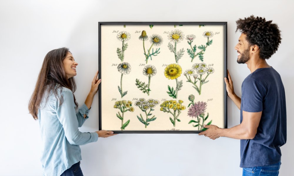 J. E. and Johnson C. P. Sowerby