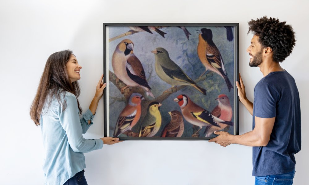 Alexander Francis after Lydon