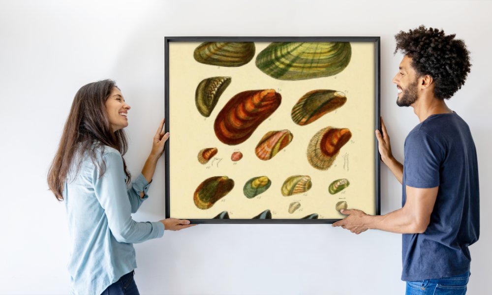 George Brettingham Sowerby