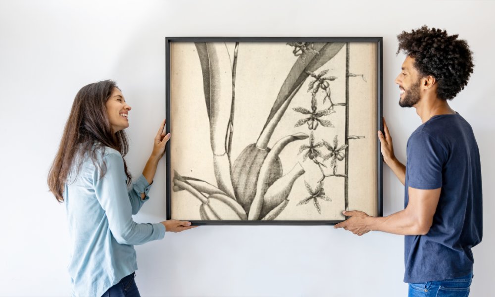 Nikolaus Joseph von Jacquin