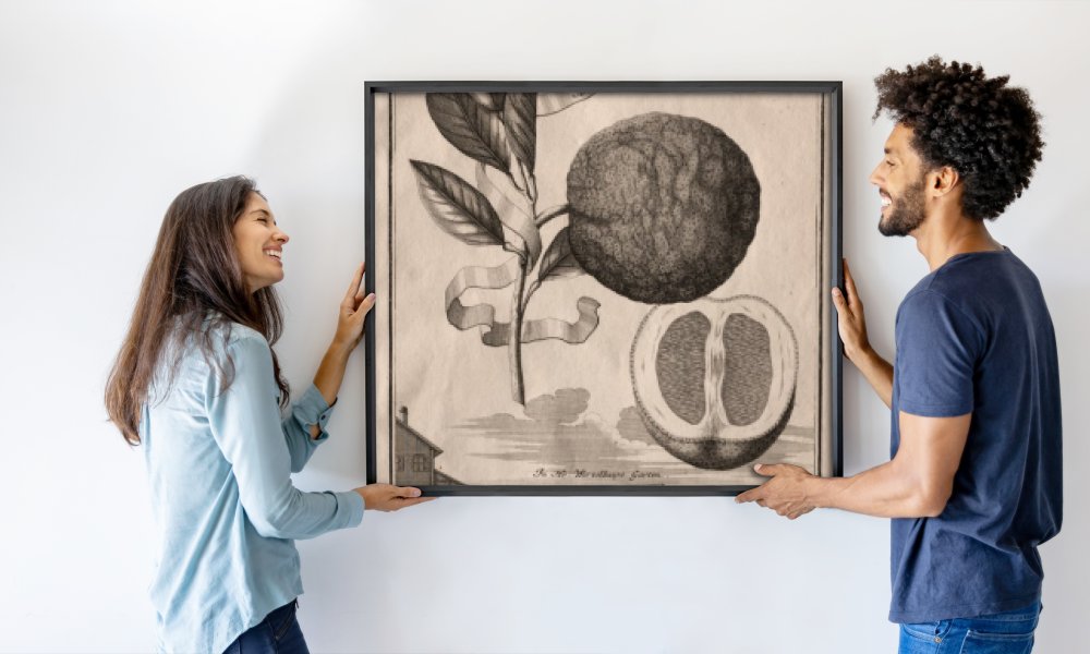 Joseph de Montalegre