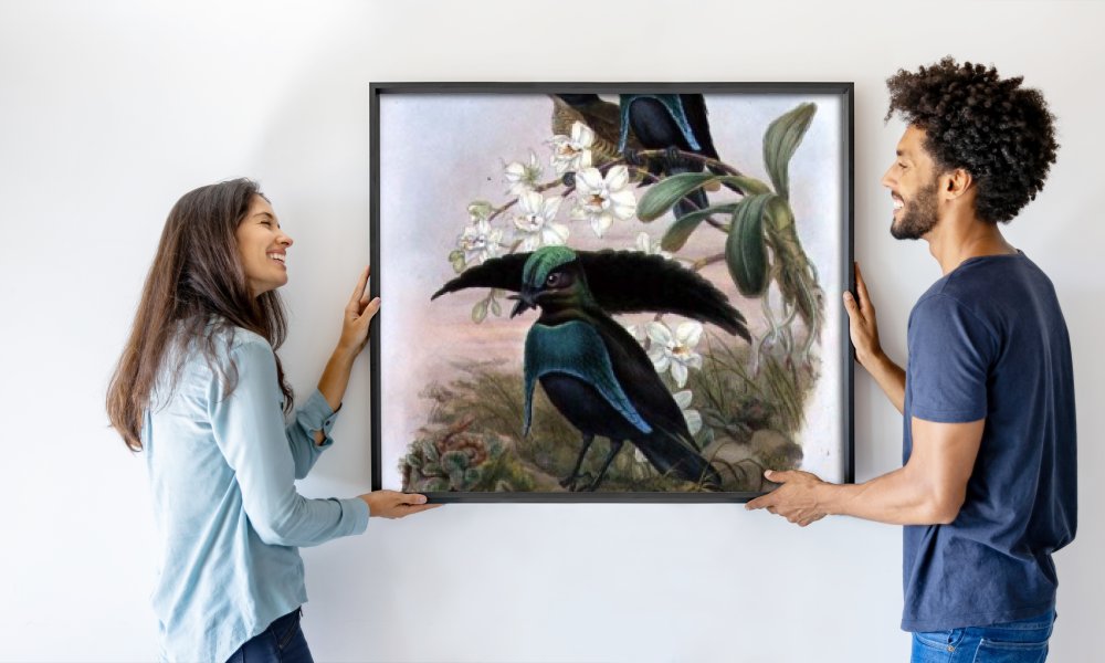 John and Hart William (after) Gould