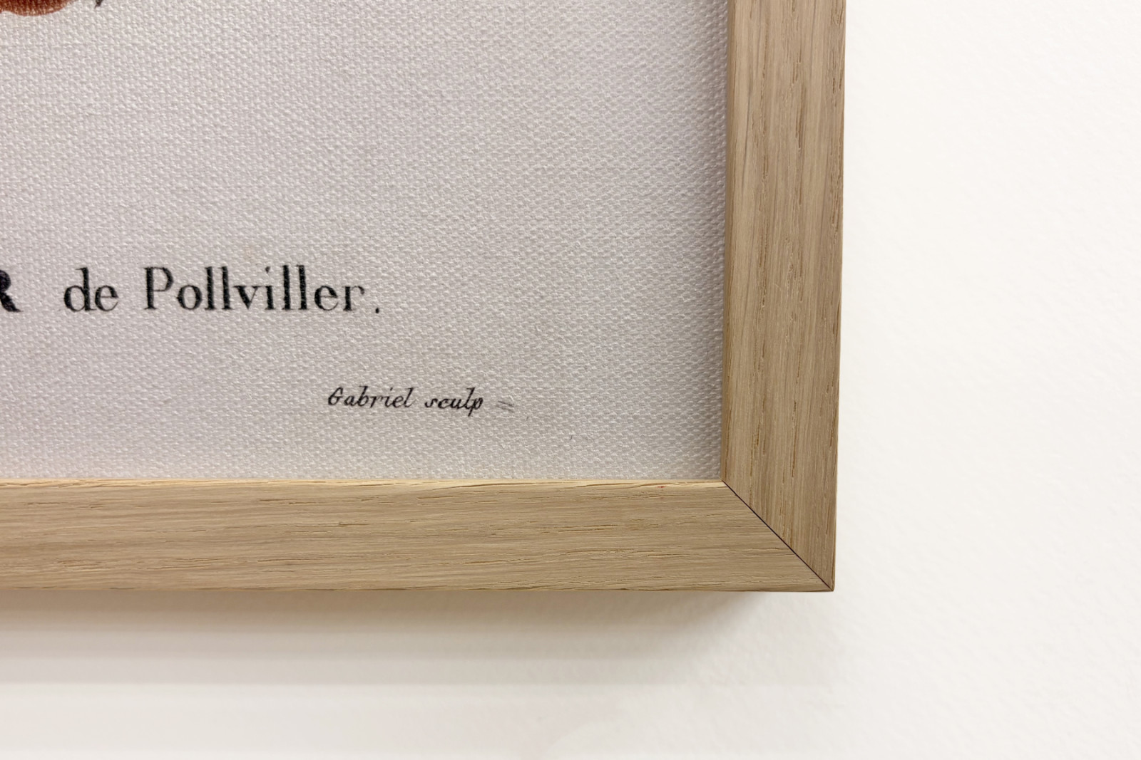 Poirier de Pollviller - "Nouveau Duhamel du Monceau ou traité des arbres et shrustes que le culture en France "の中で、P.J.RedouteとP.Bessaの図面に従った数字、パリ - Pierre Joseph (after) Redoute