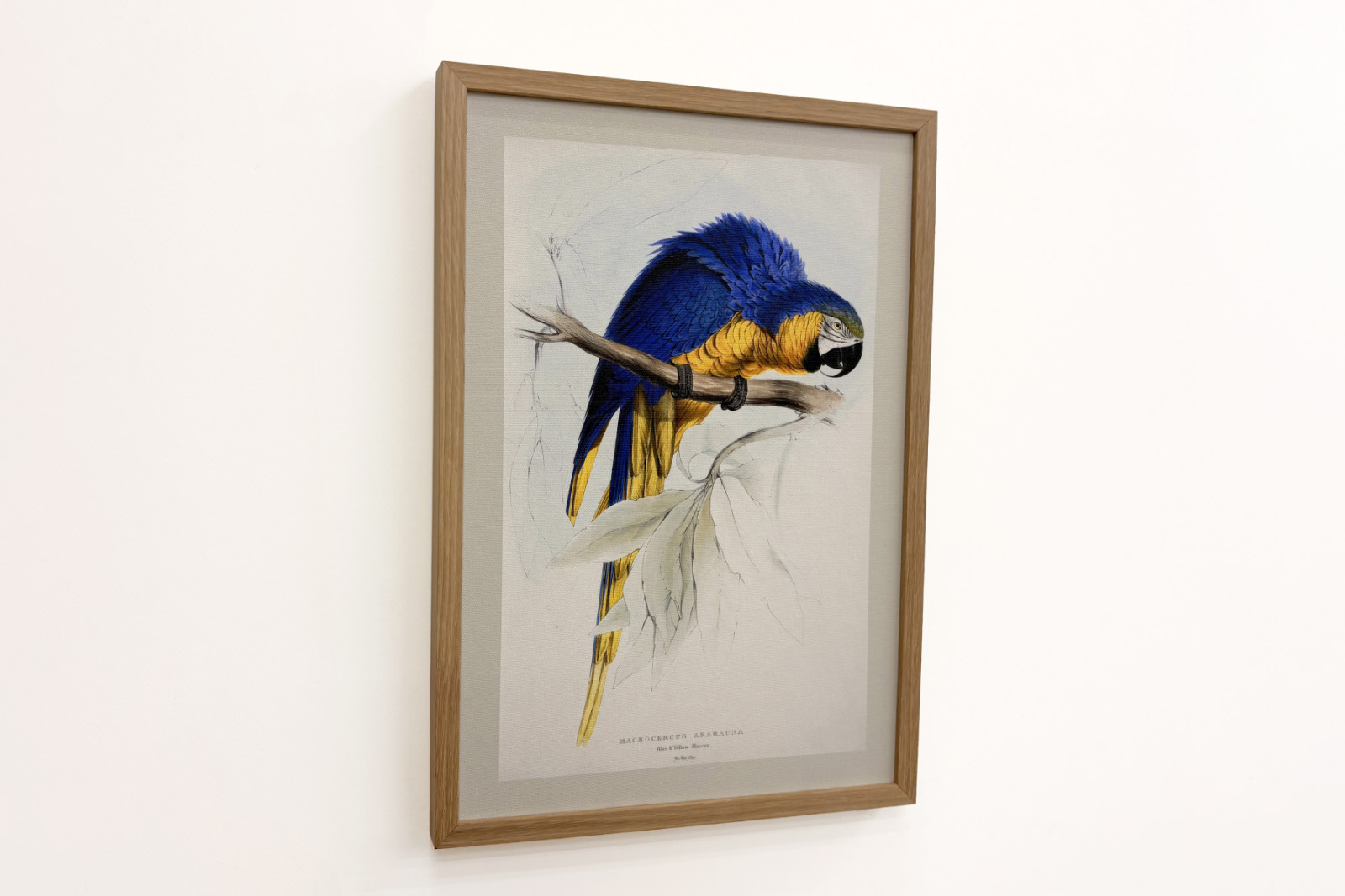 ロードトリップ - Edward Lear