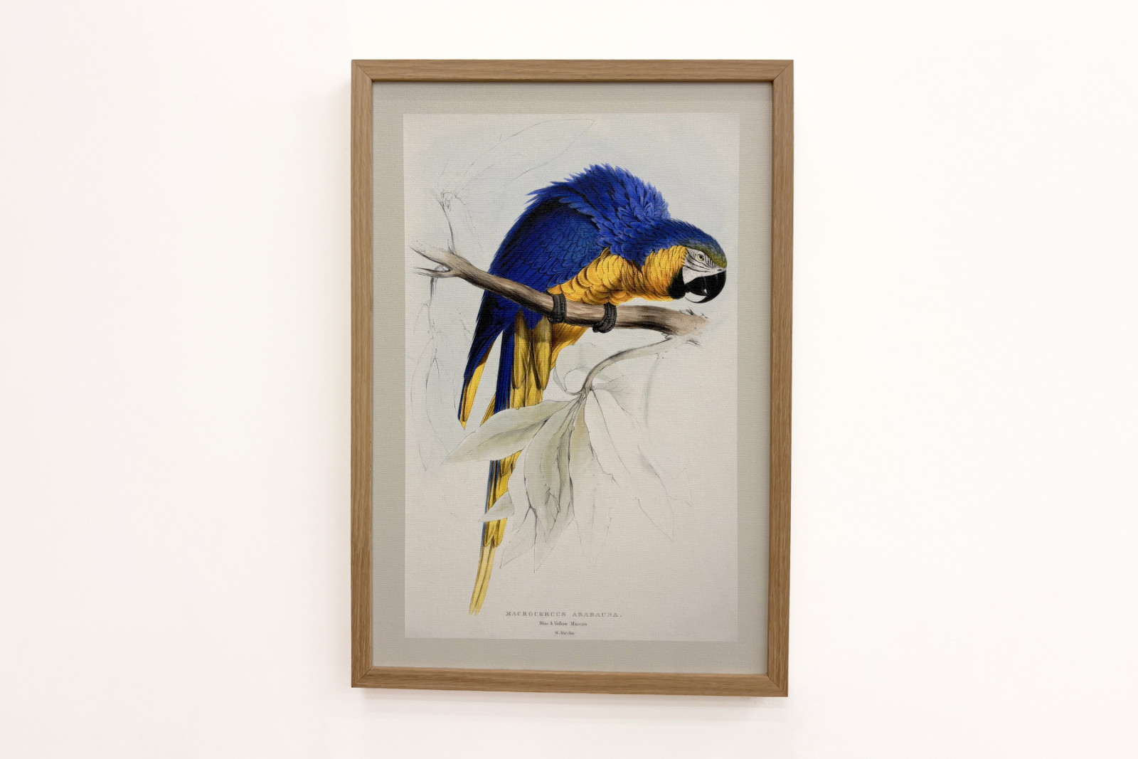 ロードトリップ - Edward Lear