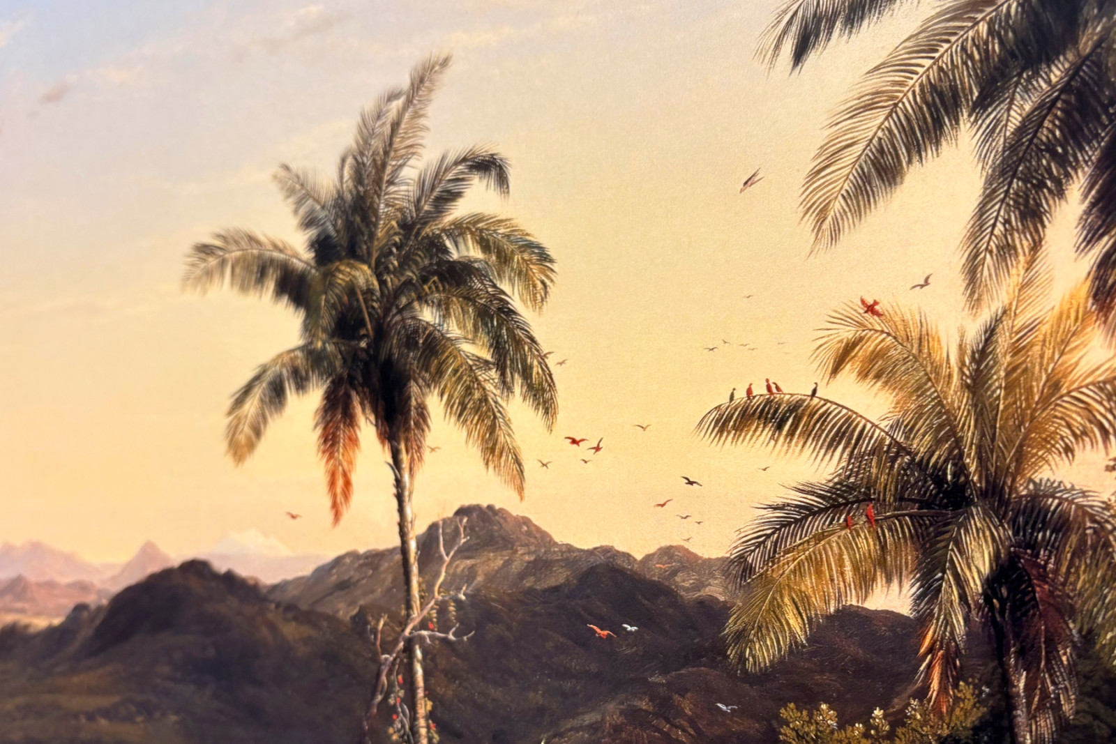 コトパクシ - Frederic Edwin Church