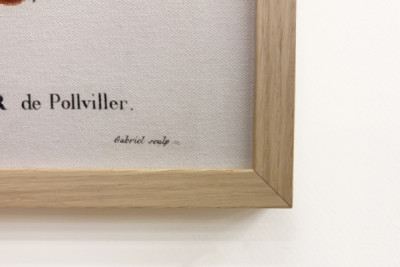 Poirier de Pollviller - "Nouveau Duhamel du Monceau ou traité des arbres et shrustes que le culture en France "の中で、P.J.RedouteとP.Bessaの図面に従った数字、パリ