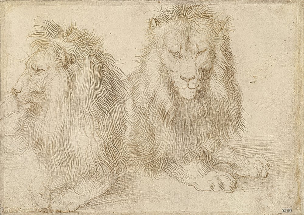 Albrecht_Duerer_-