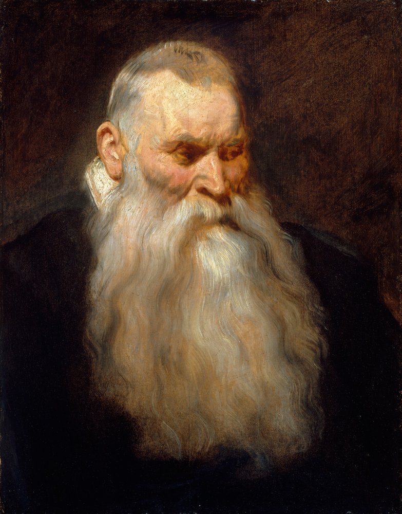 白ひげを持つ老人の頭を研究する。 1617-20。