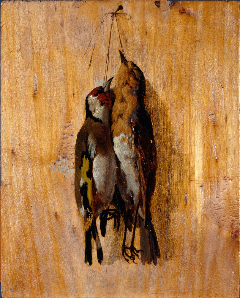 死んだ鳥　肖像画　絵画 自然の後の研究 壁に 2 つの死んだ鳥のピン。 ベネデット ムッソ (1835