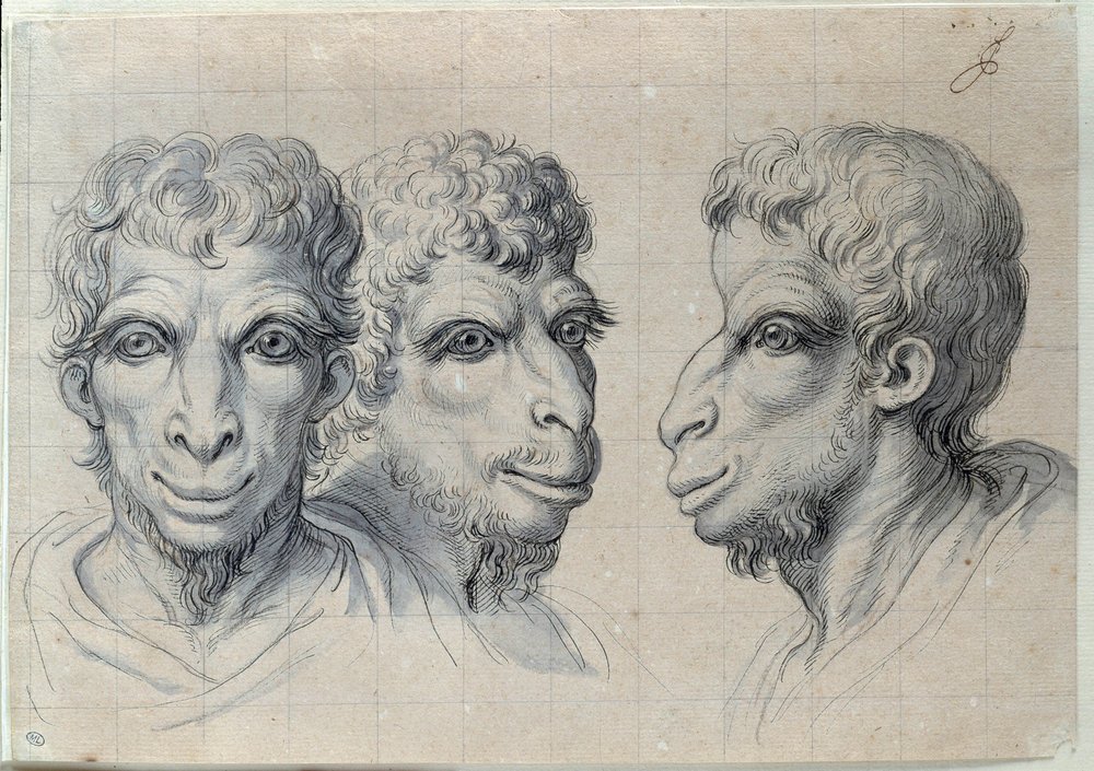 ラクダの人相を思わせる3人の男性の頭部習作。シャルル・ル・ブラン（1619-1690年）による素描、17世紀。寸法：0.22 x 0.32 m。パリ、ルーヴル美術館 作： チャールズ・ル・ブラン