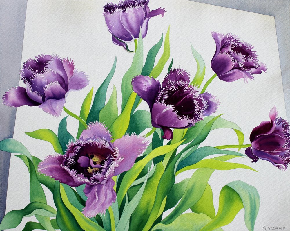 【原画販売】チューリップのブーケ　水彩画 A bouquet of tulips🪿 チューリップってなぜかとても心惹かれる