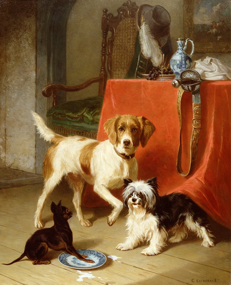 Conradyn Cunaeus - Three dogs  