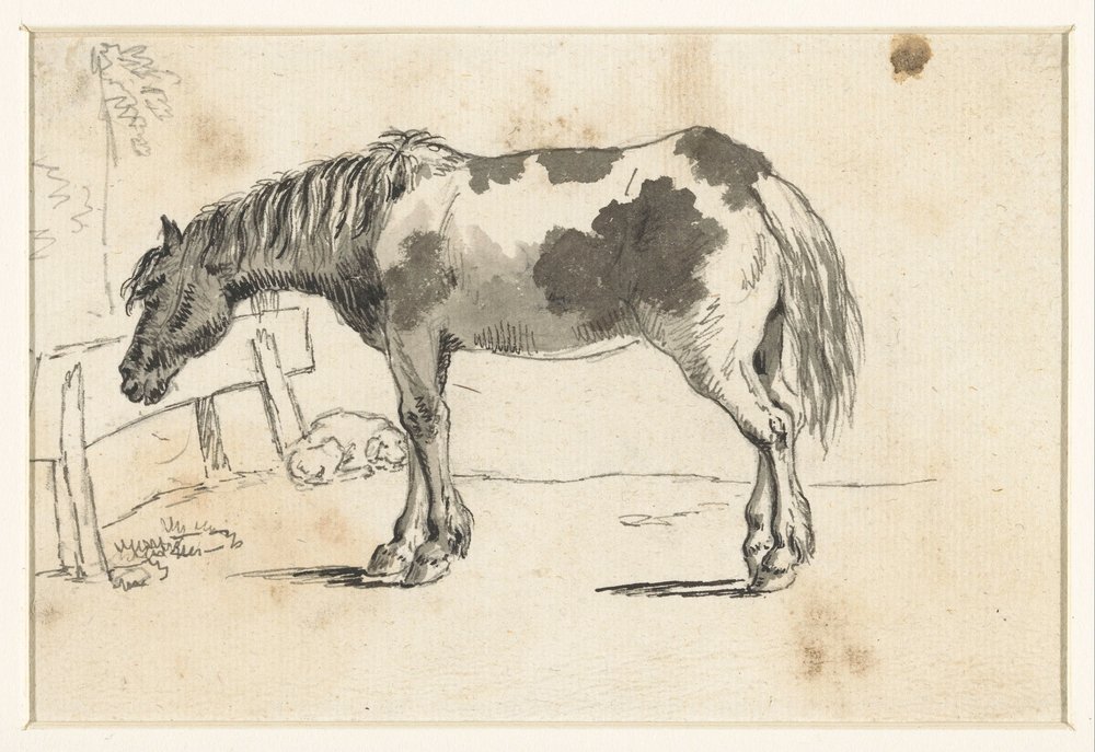 David_Alphonse_de_Sandoz_Rolli