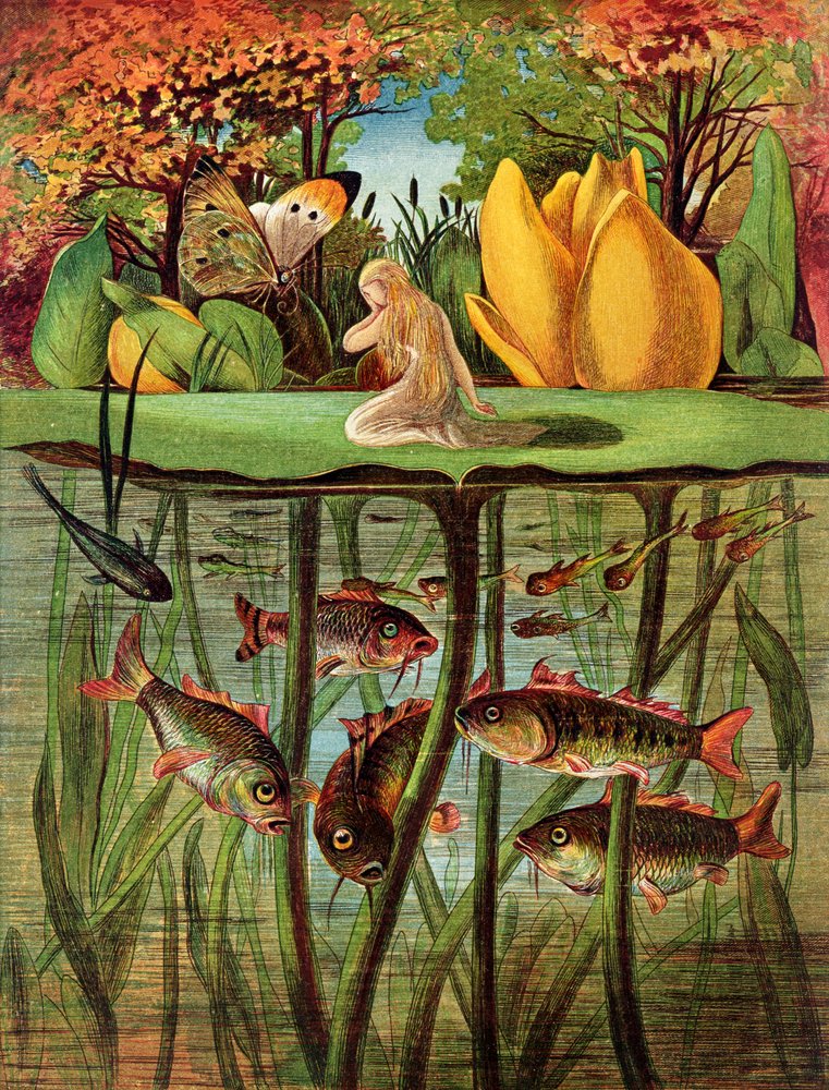 アンデルセン 詩と植物画 画集「und eine e Blume」 アンデルセン 詩と