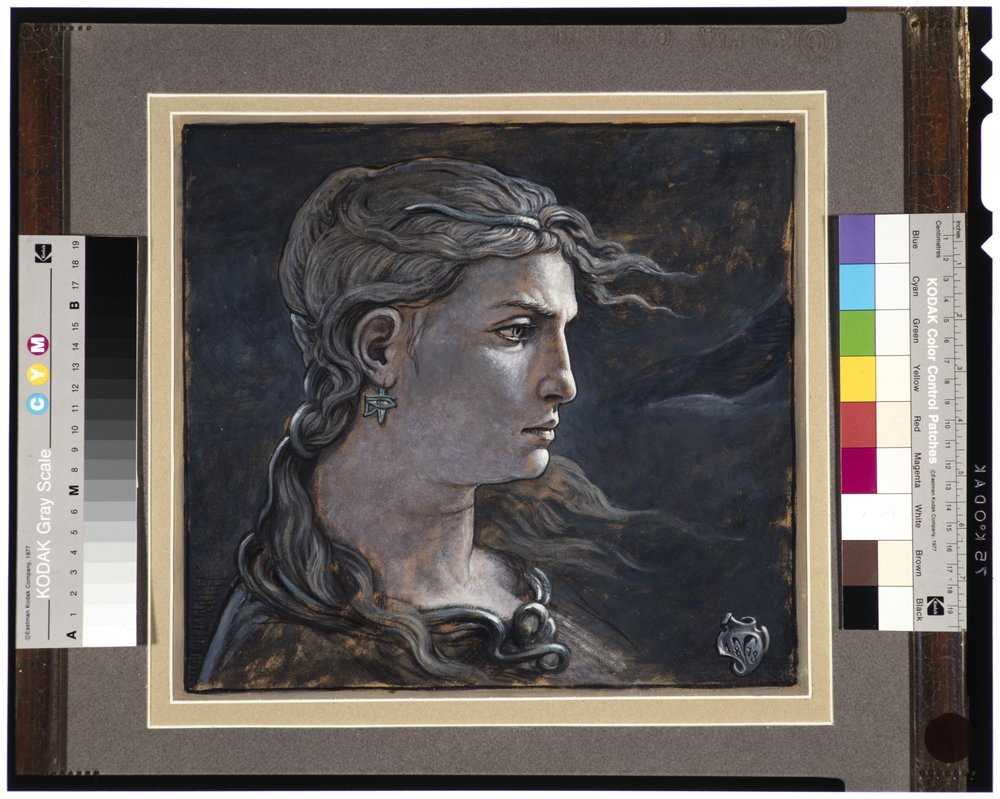 1878年メデューサの首 作： エリフ・ヴェダー