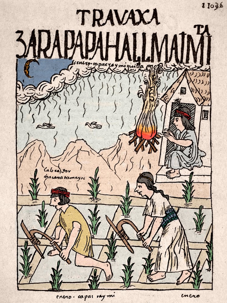 インカ帝国。1月に土地を耕すハトゥン・ルナクラスのインド人カップル