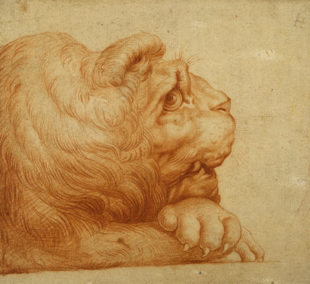 Francesco_de_Rossi_Salviati_Ce