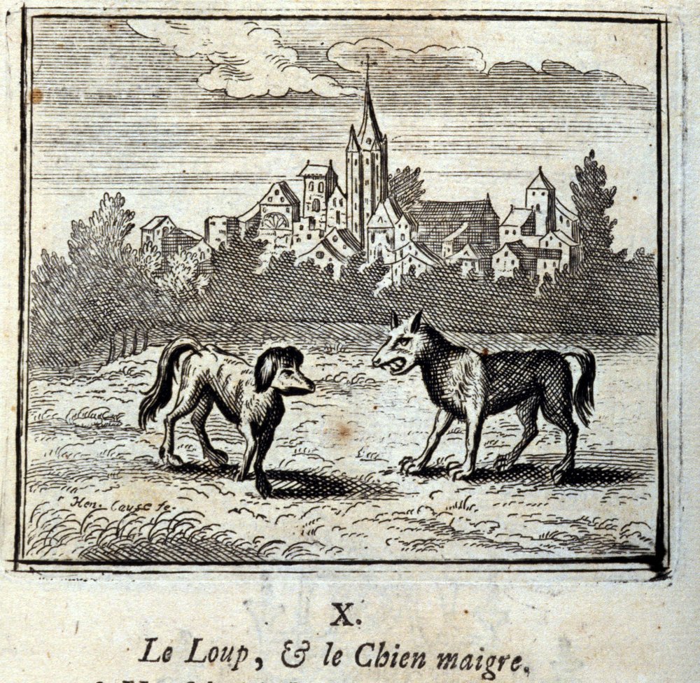 狼と痩せた犬。ジャン・ド・ラ・フォンテーヌ（1621-95）の寓話。挿絵