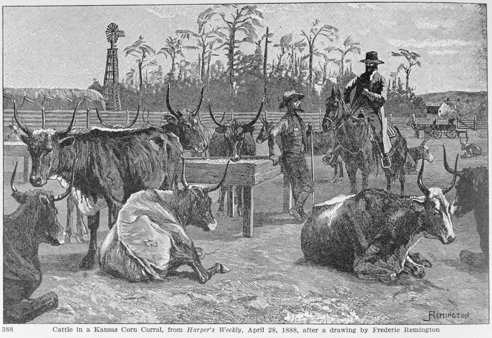 カンザス州のトウモロコシ牧場の牛、1888年の「ハーパーズウィークリー」からのイラスト、「The Pageant of America、Vol.3」から、ラルフヘンリーガブリエル作、1926年（彫刻） 作： フレデリック・レミントン