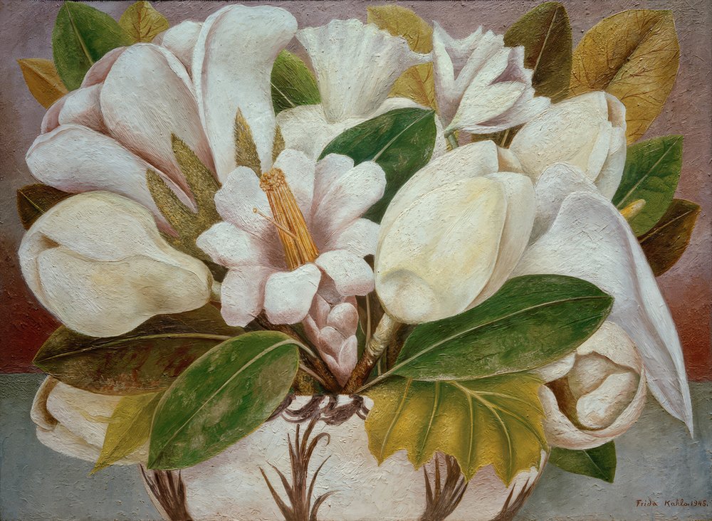 マグノリアの木 水彩画 ホワイト額入り Magnolia (マグノリア) 60×60cm