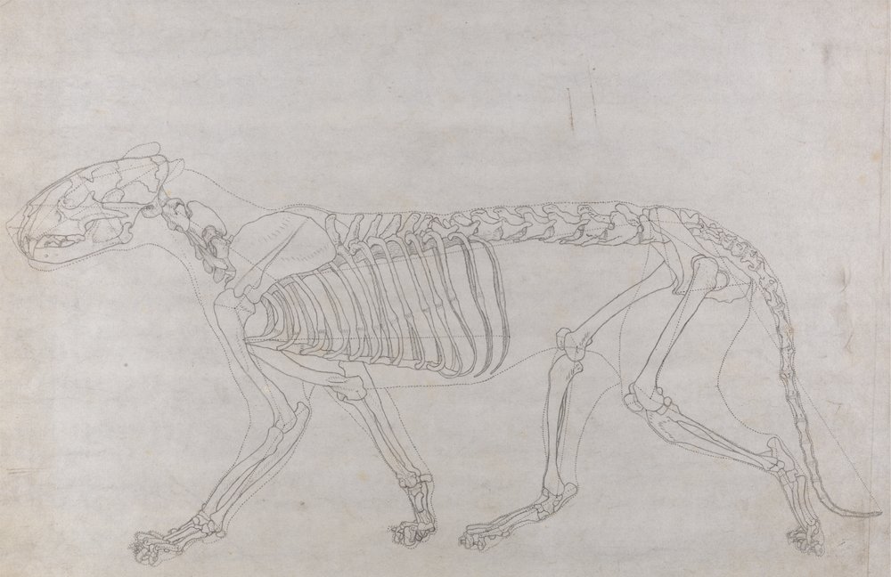 George_Stubbs_-