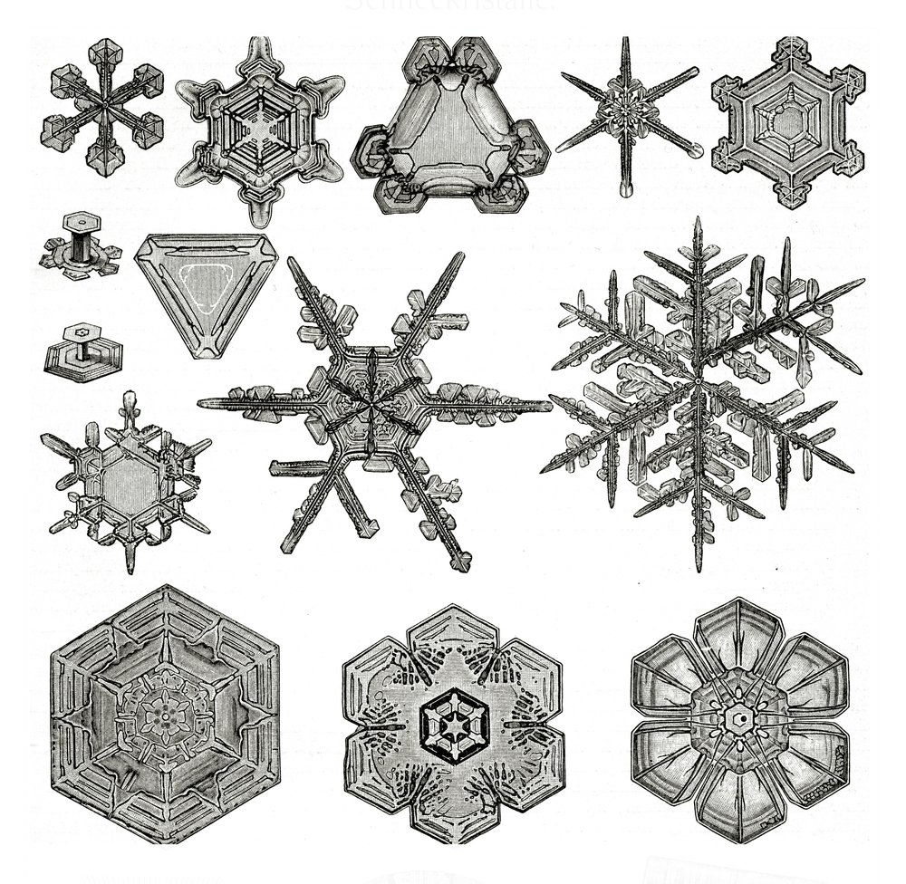 ヤンヤンマ 旧裏　初期イラスト　希少　極美品　十字　大丸　雪の結晶　複数ホロあり 雪の結晶の形の違い | ドイツ語学校