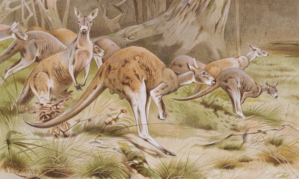 universal statuary カンガルー置物　1972年製 置物 カンガルーの親子 高さ131.5cm woobia ウービア 大きい かわいい