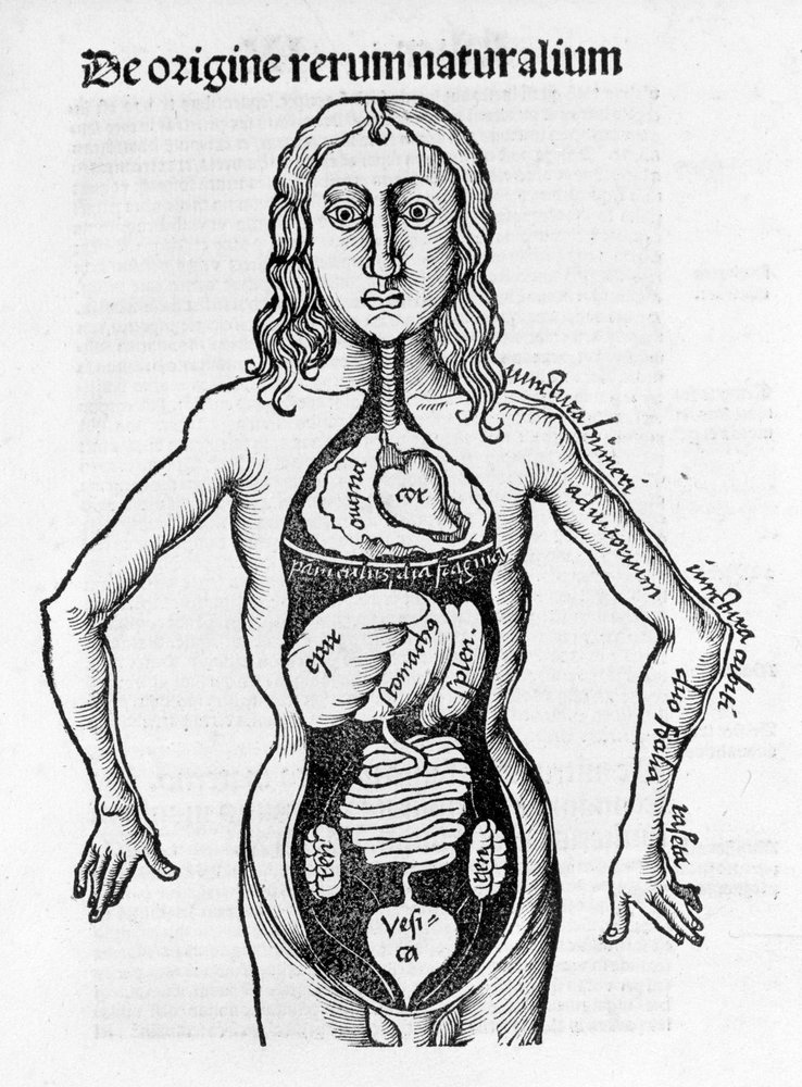 人体の断面図-グレゴール・ライシュ（1467-1525）の「マルガリータ哲学