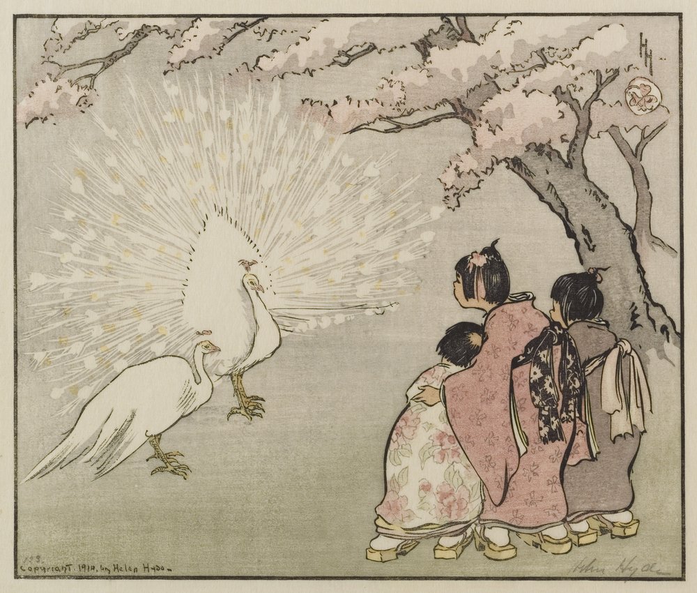 白孔雀、1914年（木版画の色）