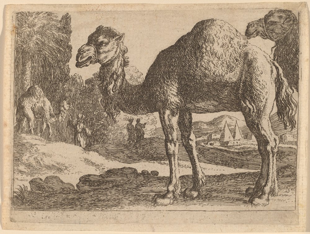 Herman_van_Swanevelt_-_Camels_