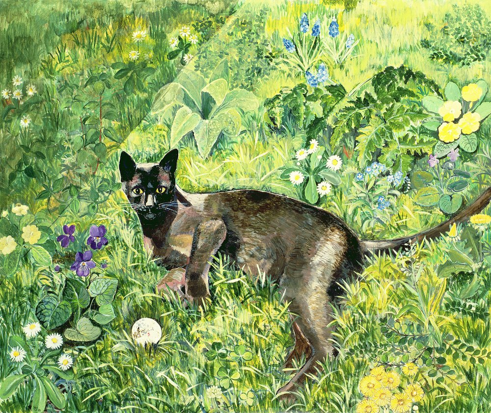 Hilary_Jones_-_Golfing_Cat_-_(