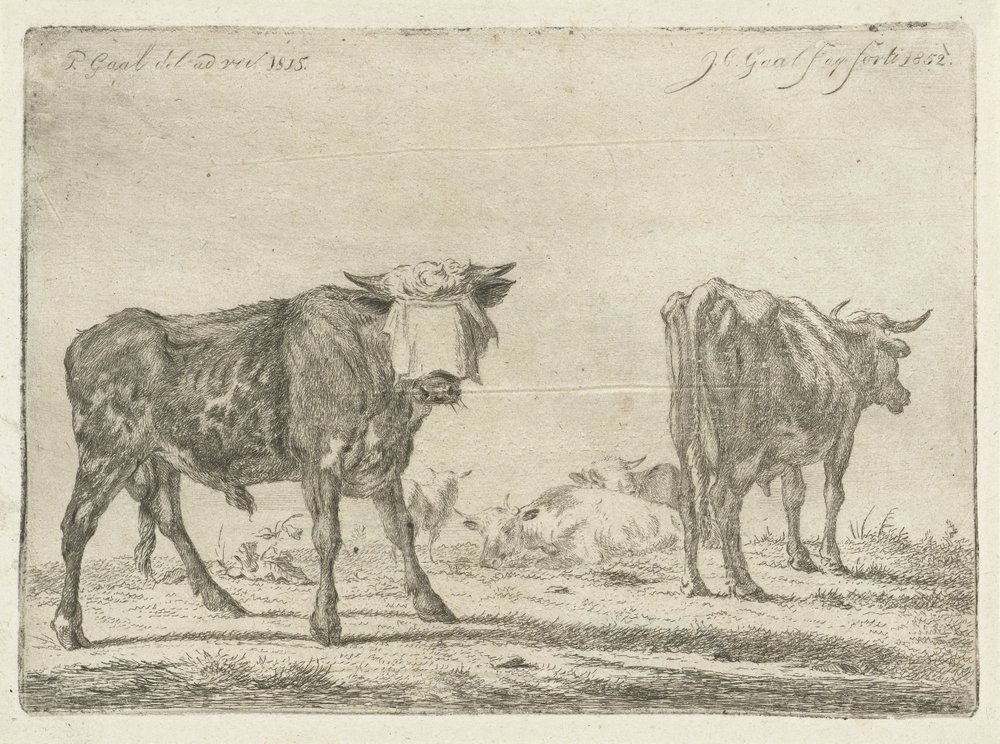 Jacobus_Cornelis_Gaal_-