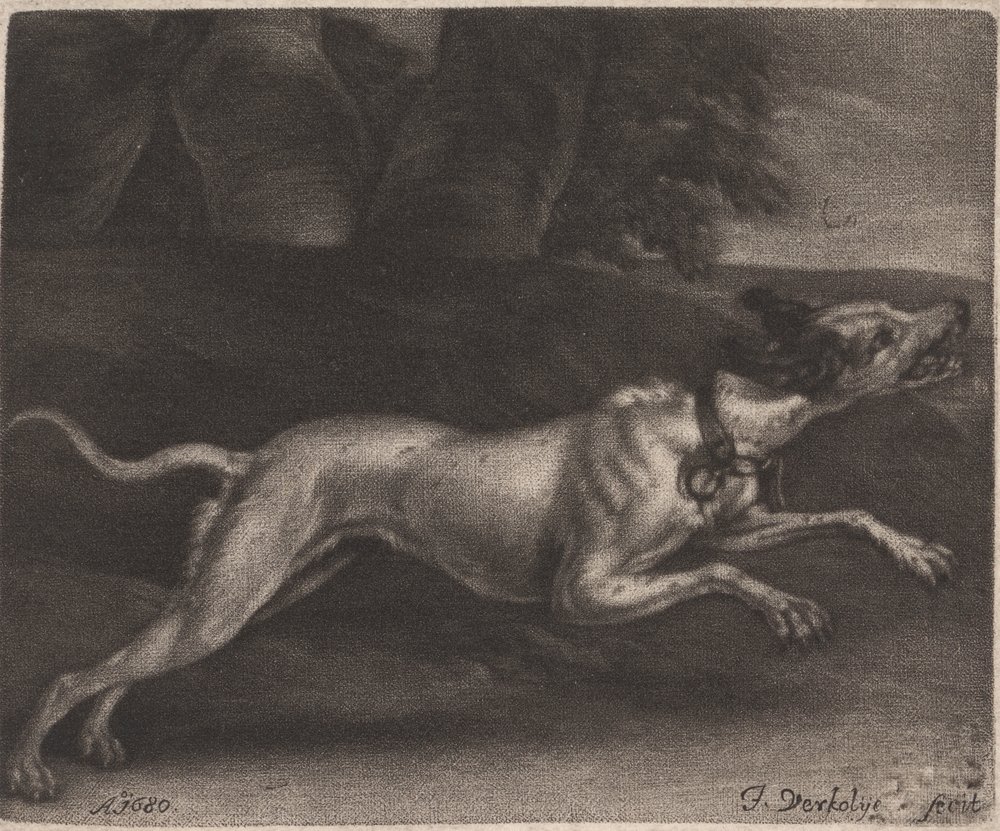 Jan_Verkolje_-_A_Running_Dog_-