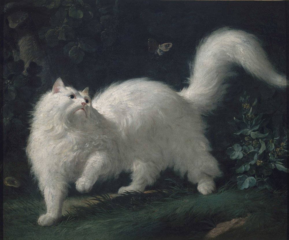 蝶を追いかけるアンゴラ猫、1760年頃。
