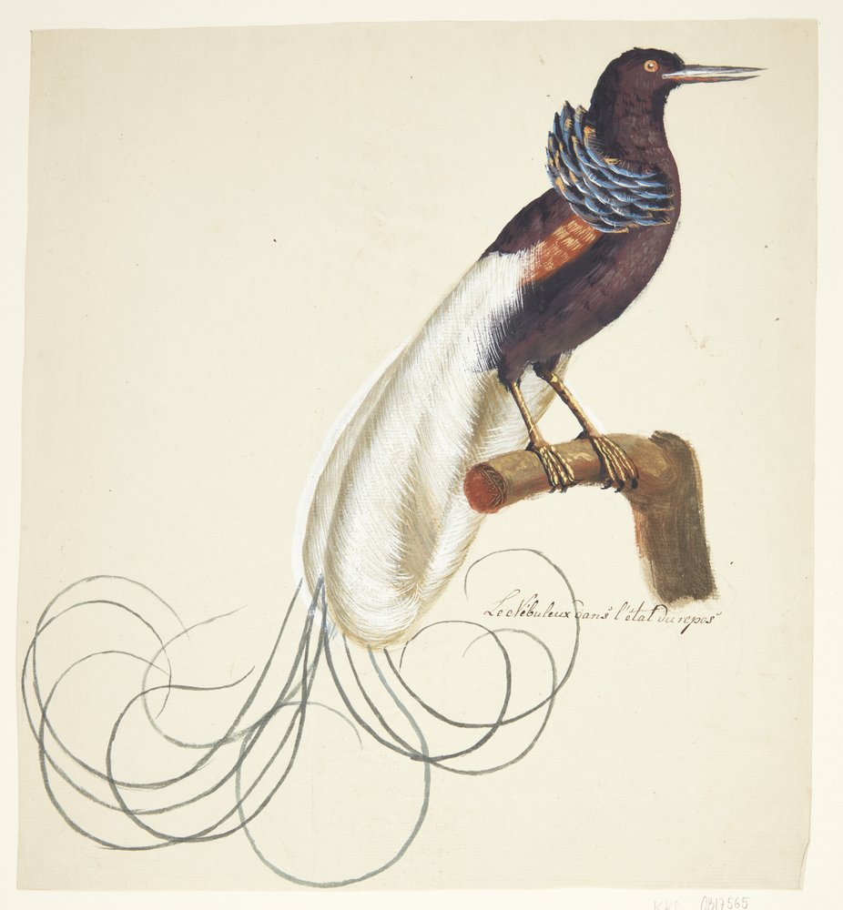 Johan_Christian_Ernst_Walter_-