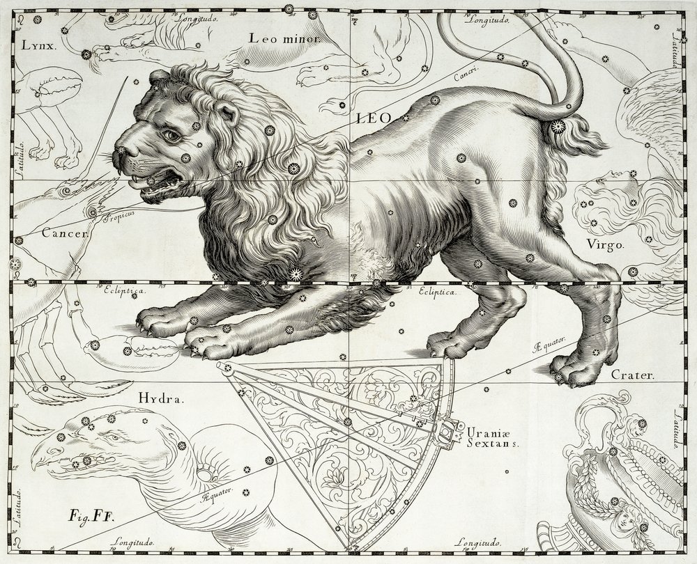 ヘベリウス星座図絵 本　古書 しし座、黄道十二星座の獅子。ヨハネス・ヘヴェリウス（1611-1687）の