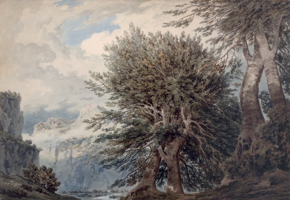 ブナの木のある山岳風景、1792 作： ジョン・ロバート・コーズ