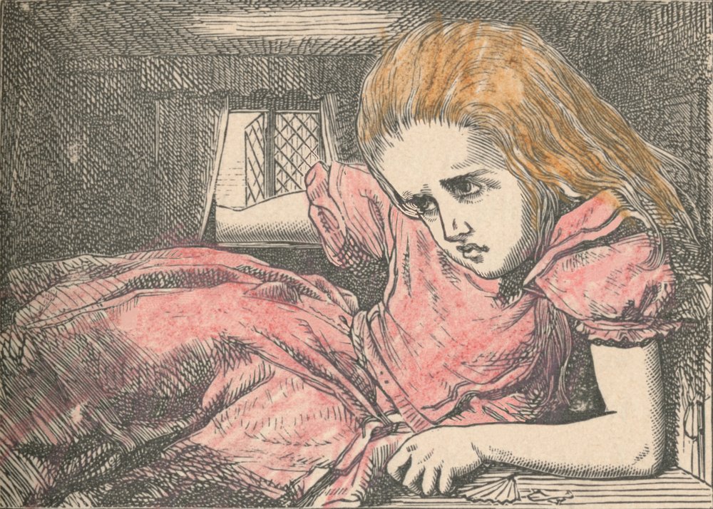 アリスの冒険 版画 John Tenniel 1874年 Amazon | Alice in Wonderland: The Original 1865 Edition With