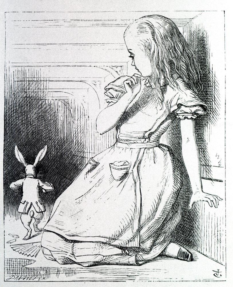 【2025年】エレガントファッションを上品に着 Alice et le rabbit - ルイス・キャロル著『不思議の国のアリス 洋書
