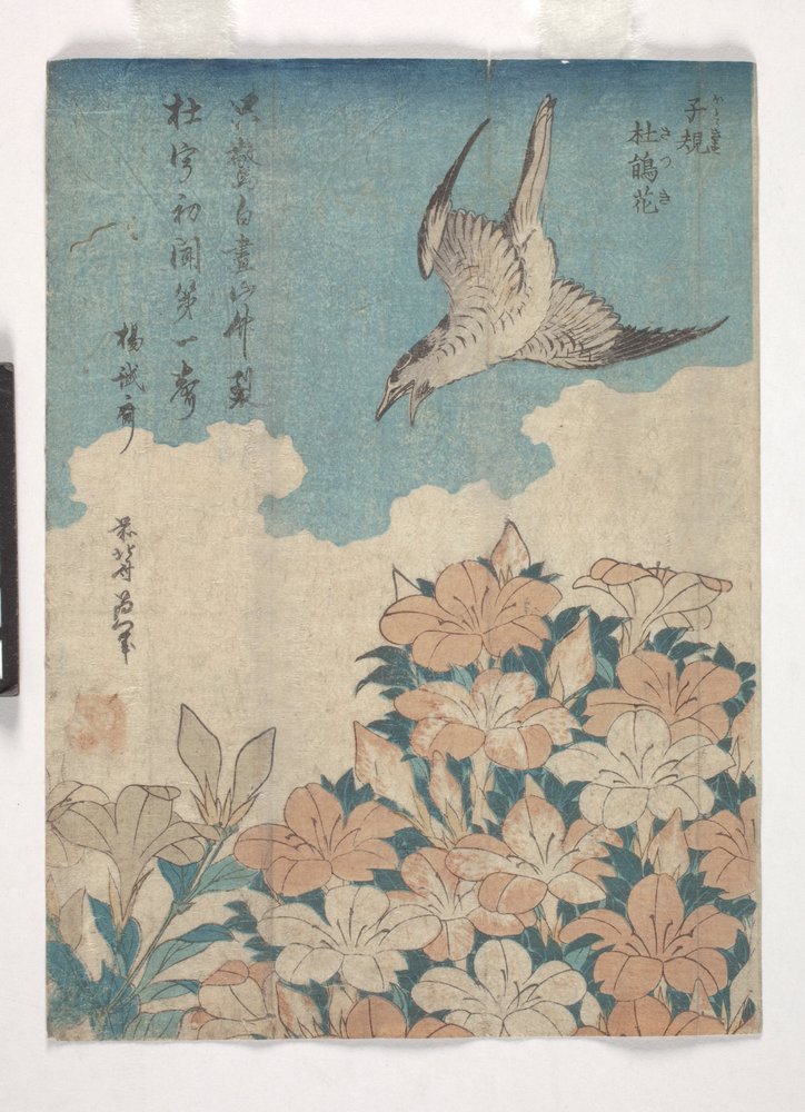 カッコウとツツジ（カラー木版画）