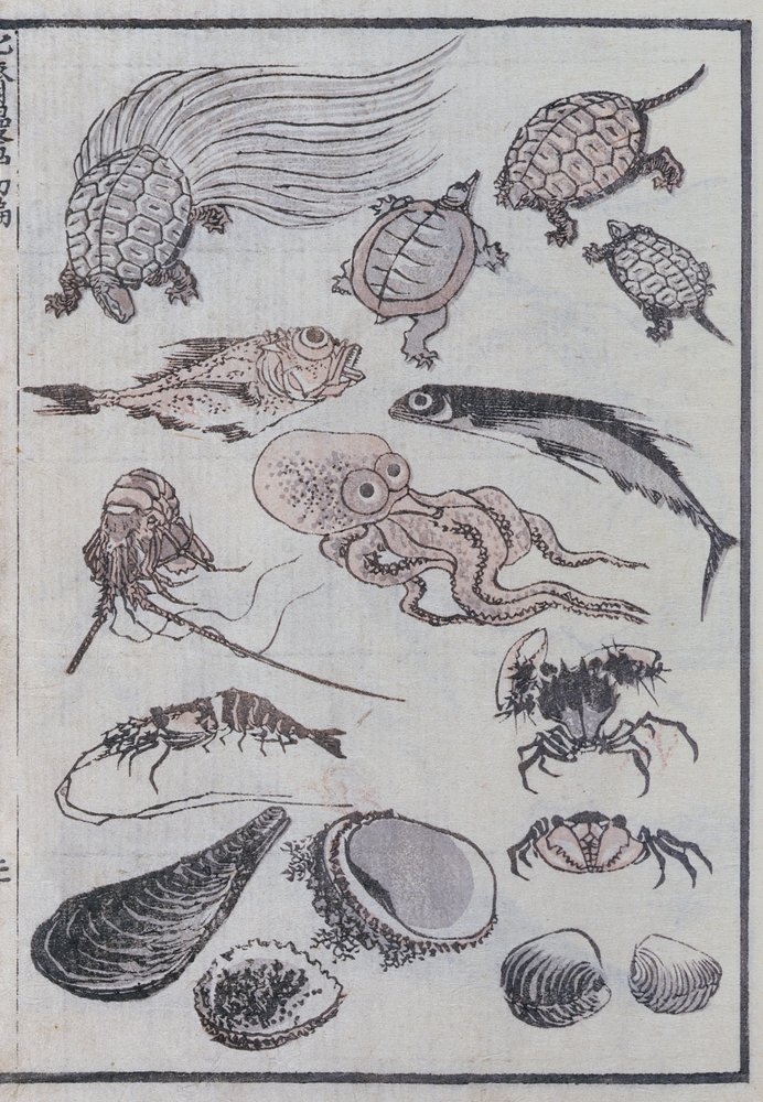 マンガからの海中の生き物（カラー木版画）