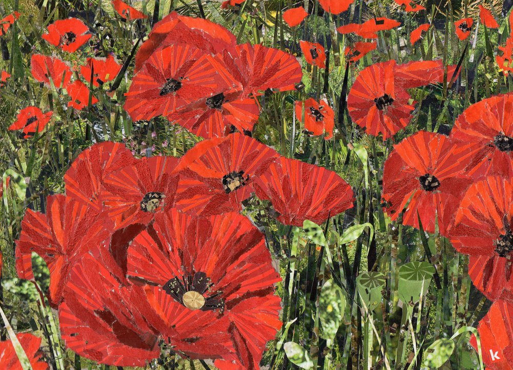 Kirstie_Adamson_-_Poppy_Field_