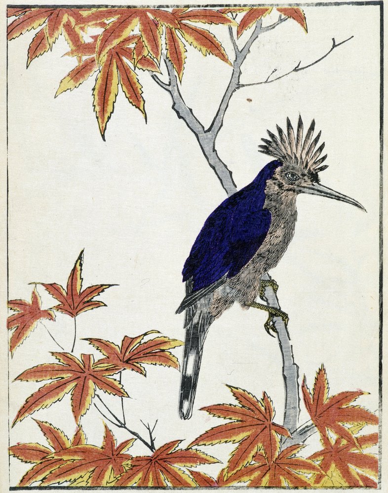Kitao_Shigemasa_-