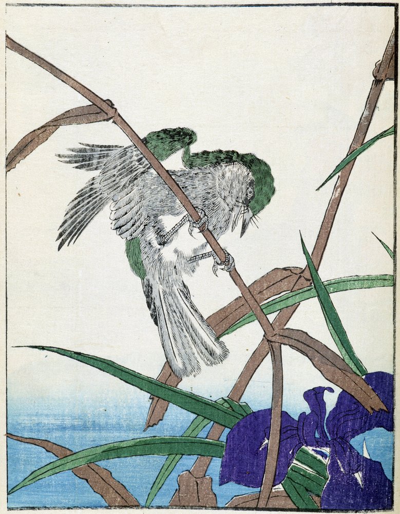 Kitao_Shigemasa_-
