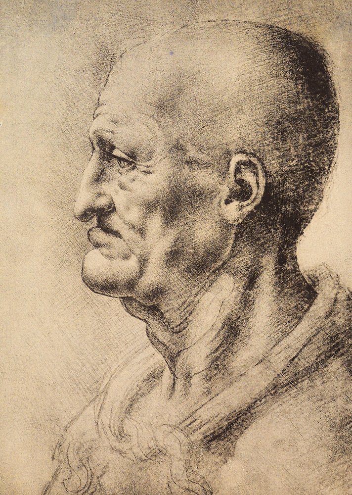 【楽天最安値に挑戦】 Leonardo_da_Vinci_- 絵画
