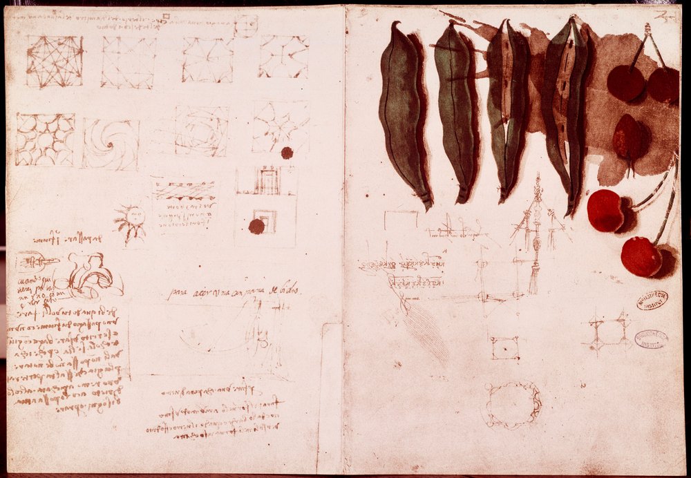 Leonardo_da_Vinci_-