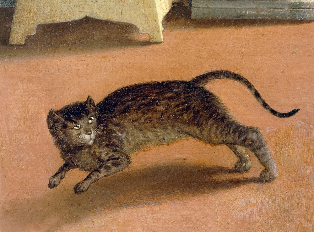 怯えた猫、「レカナティの受胎告知」の細部、1534年頃、ロレンツォ