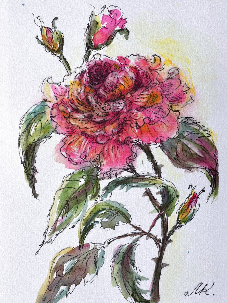 水彩画 バラの花 額装済み 水彩画のバラの花 | | アートプリント