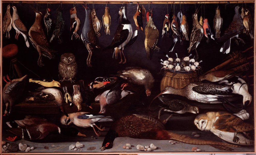 鳥のいる静物画（鳥） ミケランジェロ・メリージ・ディット